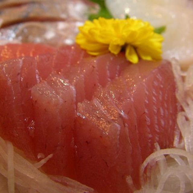 Maguro Sashimi.