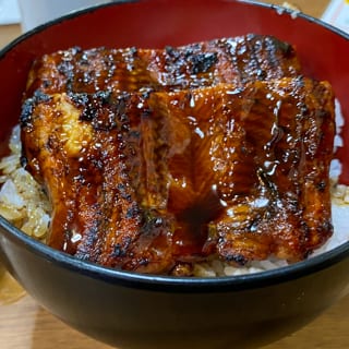 Unagi Donburi